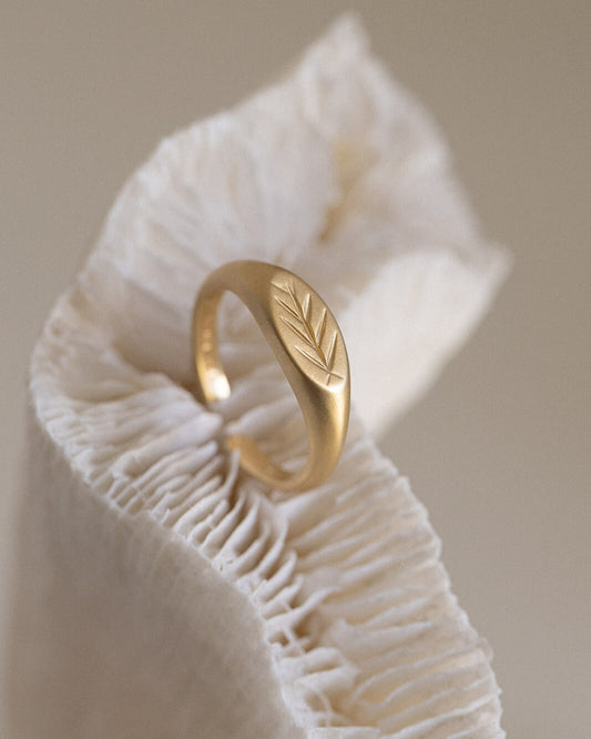 Exclusive Arrow Adjustable ring