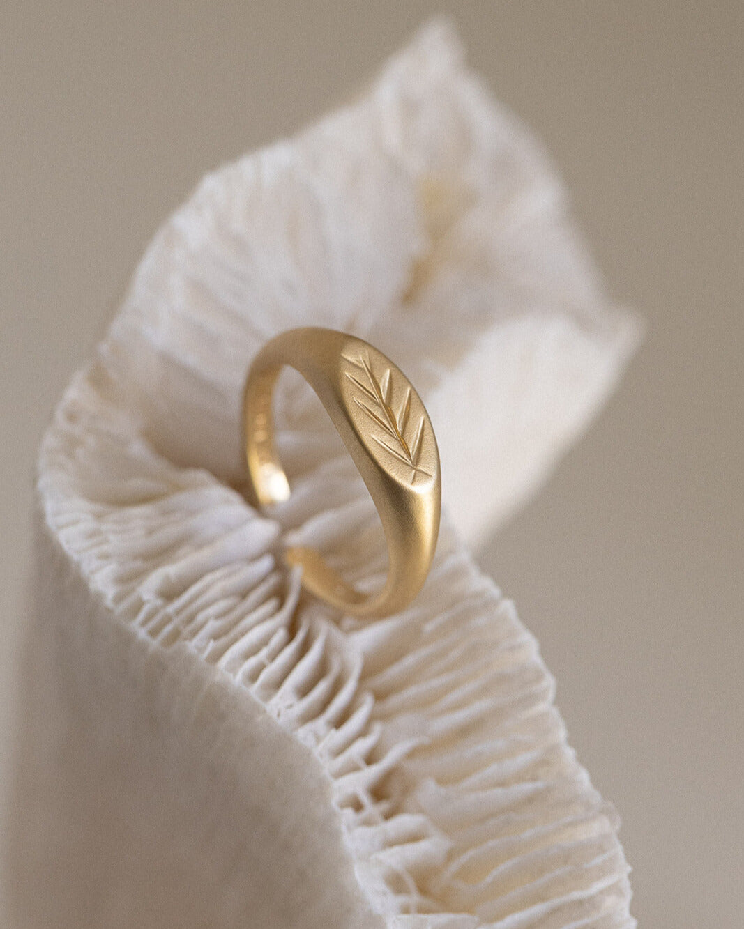 Exclusive Arrow Adjustable ring